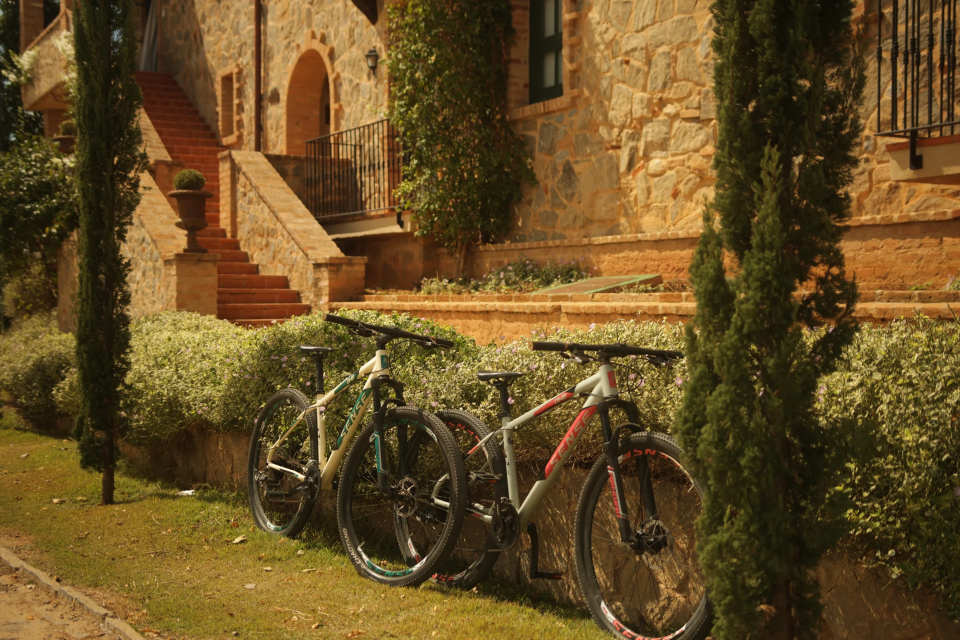Bicicletas